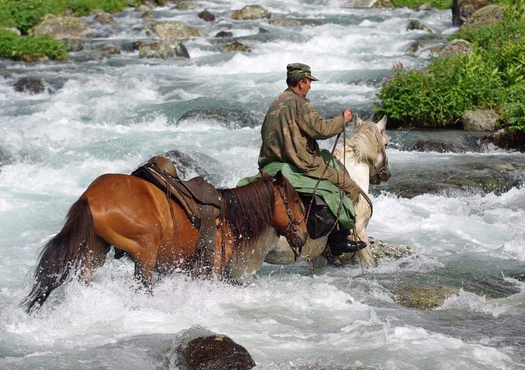 седло на выносливость