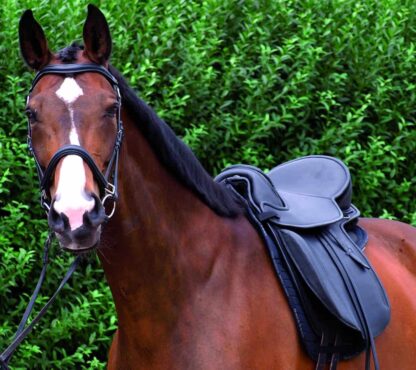 dressage saddle