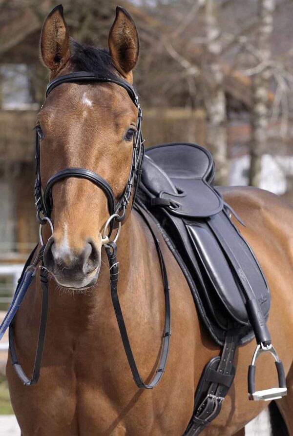 flexible saddle
