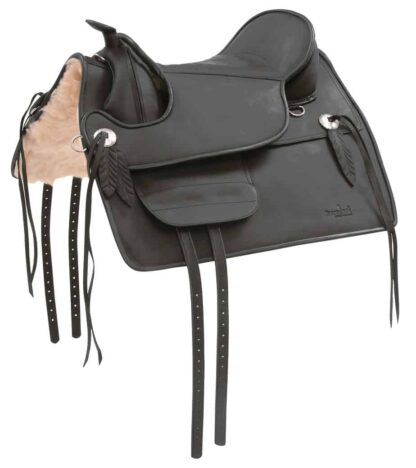 leather saddle