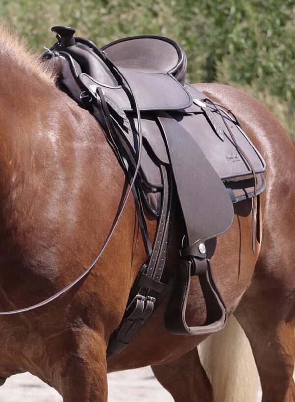 leather saddle