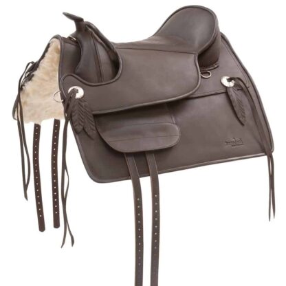 leather saddle