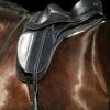 light dressage saddle