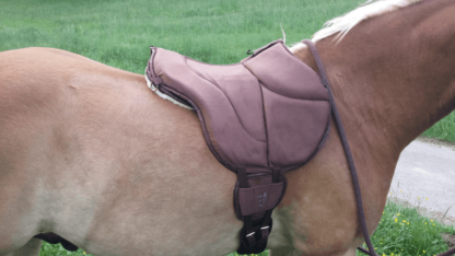 riding pad physio