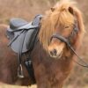 small dressage saddle