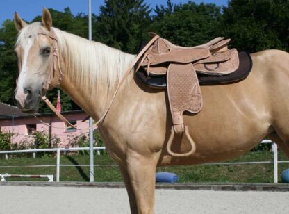 western style saddle