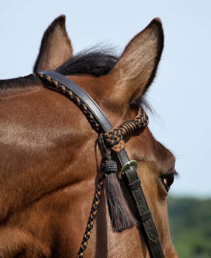 2-in-1 headstall