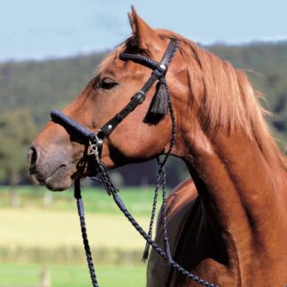 2-in-1 headstall