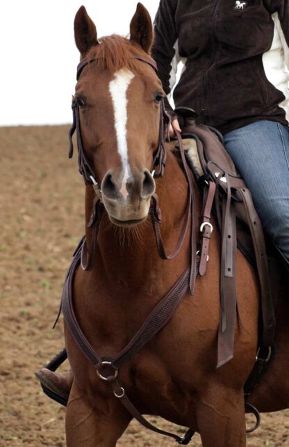 leather breastplate