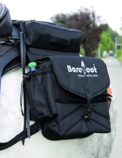 rear saddle bags