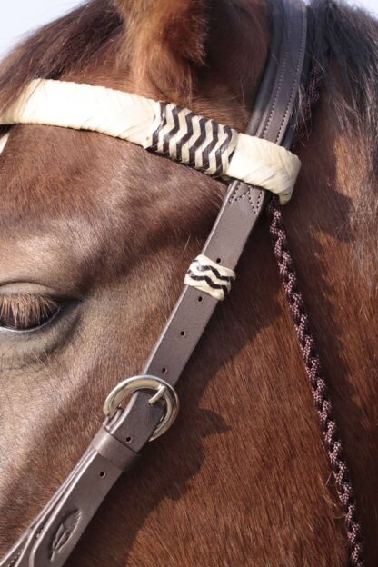 sidepull headstall