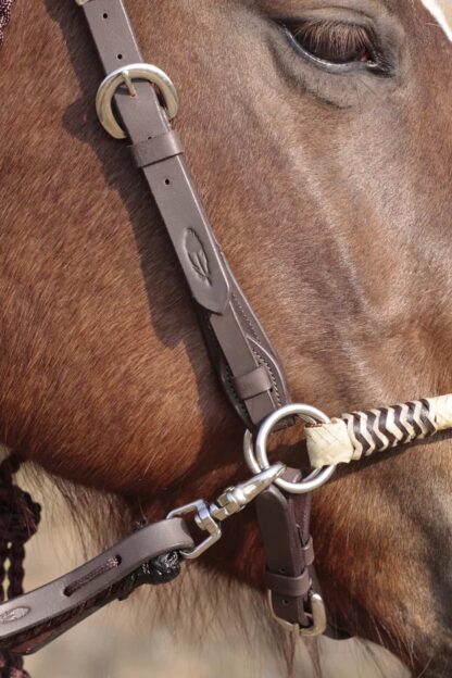 sidepull headstall