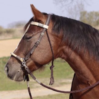 sidepull headstall