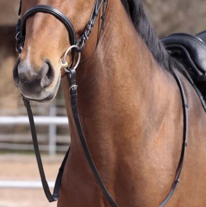 anti slip reins