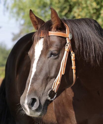 beautiful headstall