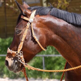 beautiful headstall