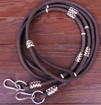 beautiful reins