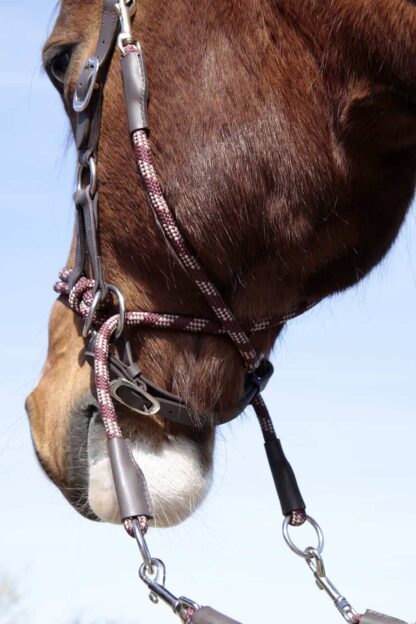 bitless bridle