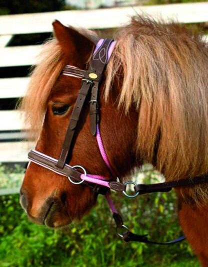 bitless bridle for kids