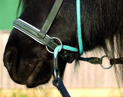 bitless bridle for kids