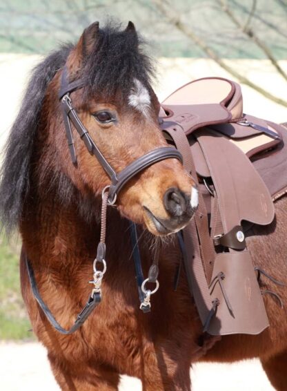 bitless bridle for kids