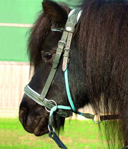 bitless bridle for kids