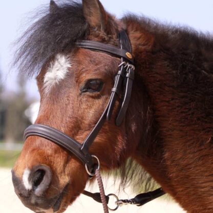 bitless bridle for kids