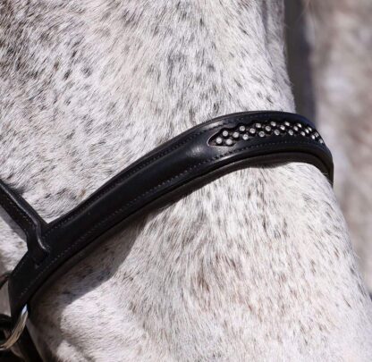 bitless contour bridle