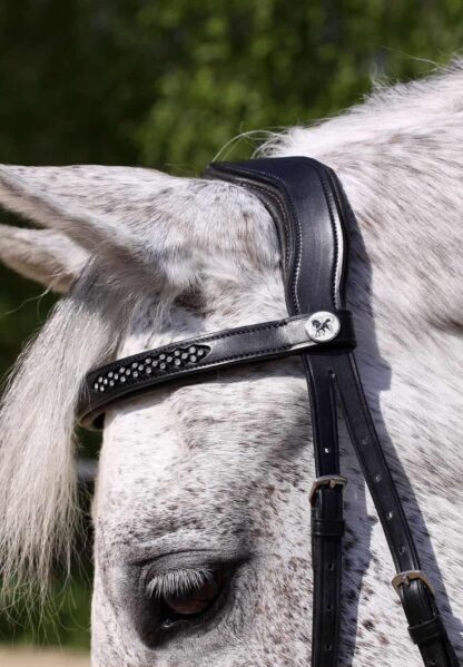 bitless contour bridle