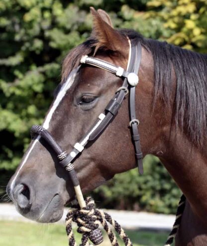 bosal noseband