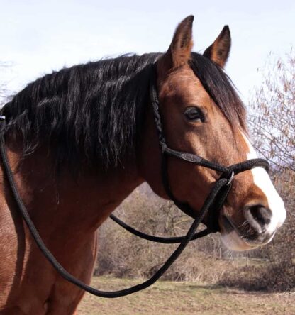 cotton bridle