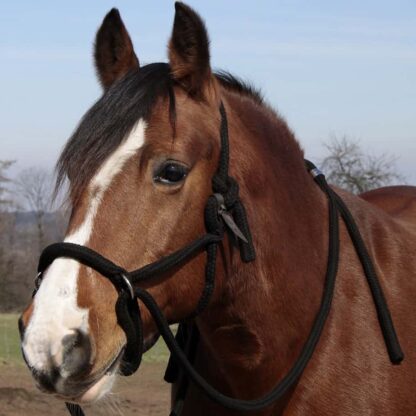 cotton bridle