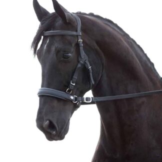 Bridles, Headstalls, Halters, and Nosebands