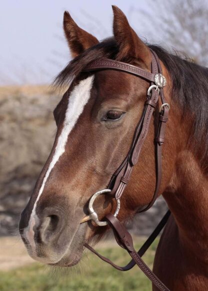 headstall