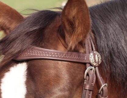 headstall