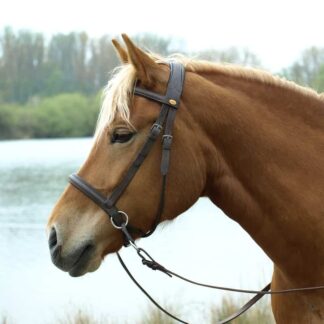 leather bitless bridle