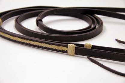 leather reins