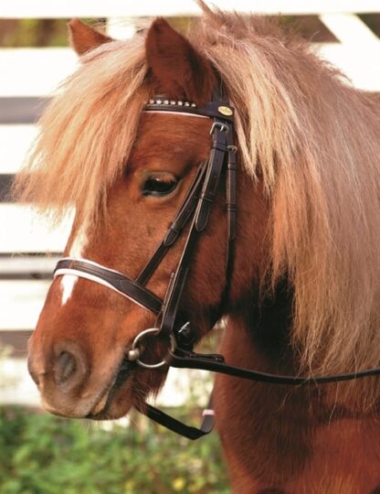 pony bridle