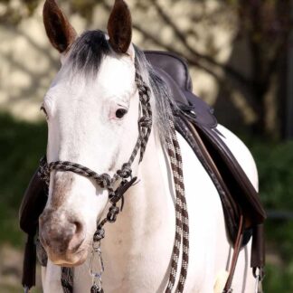 riding halter