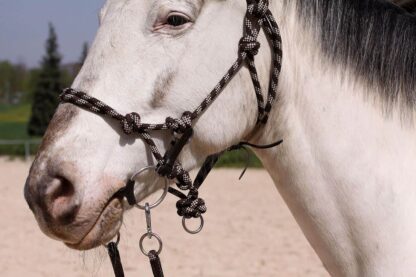 riding halter