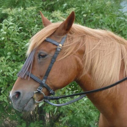 vaquero bridle