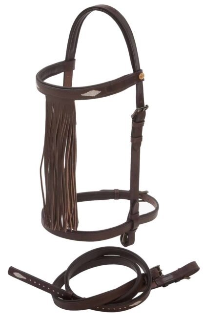 vaquero bridle