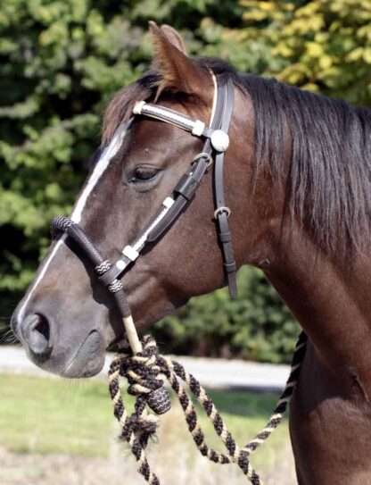 western headstall