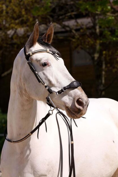 western headstall