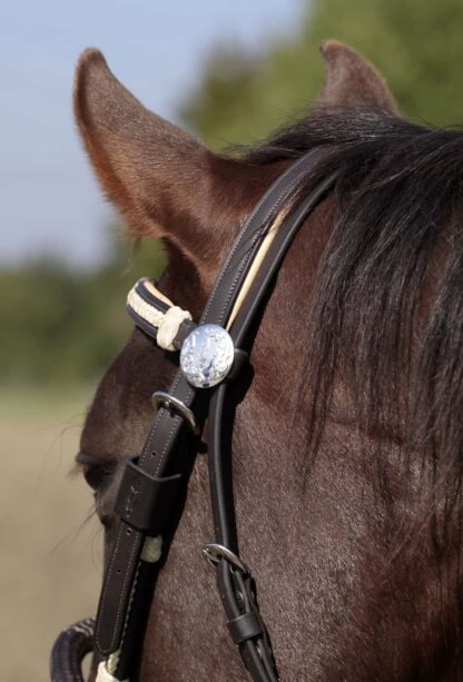 western headstall