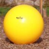 horse training ball