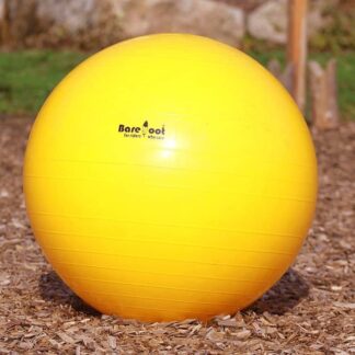 horse training ball