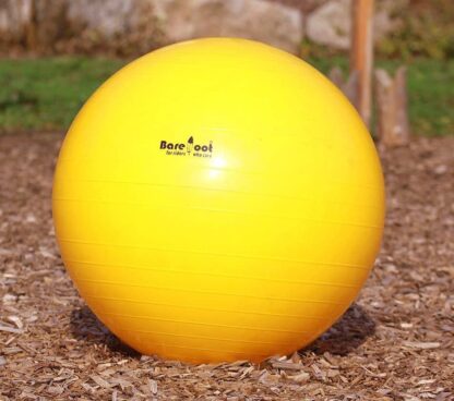 horse training ball