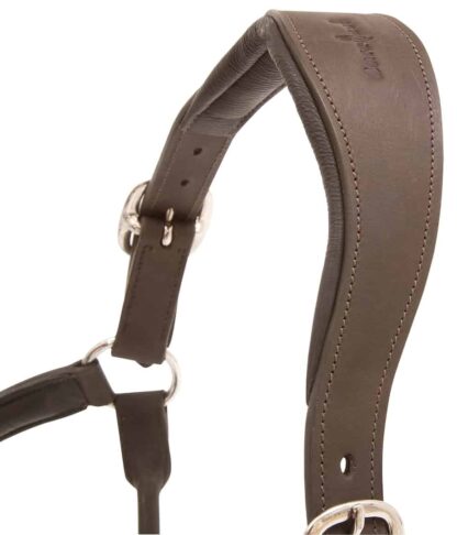 leather halter