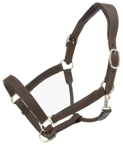 leather halter